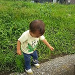 子どもと朝活 ～公園あそび～